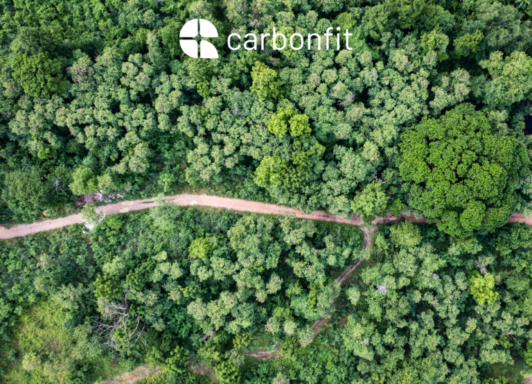 Carbonfit branding featuring the company logo over an aerial view of a green forest with a winding path.