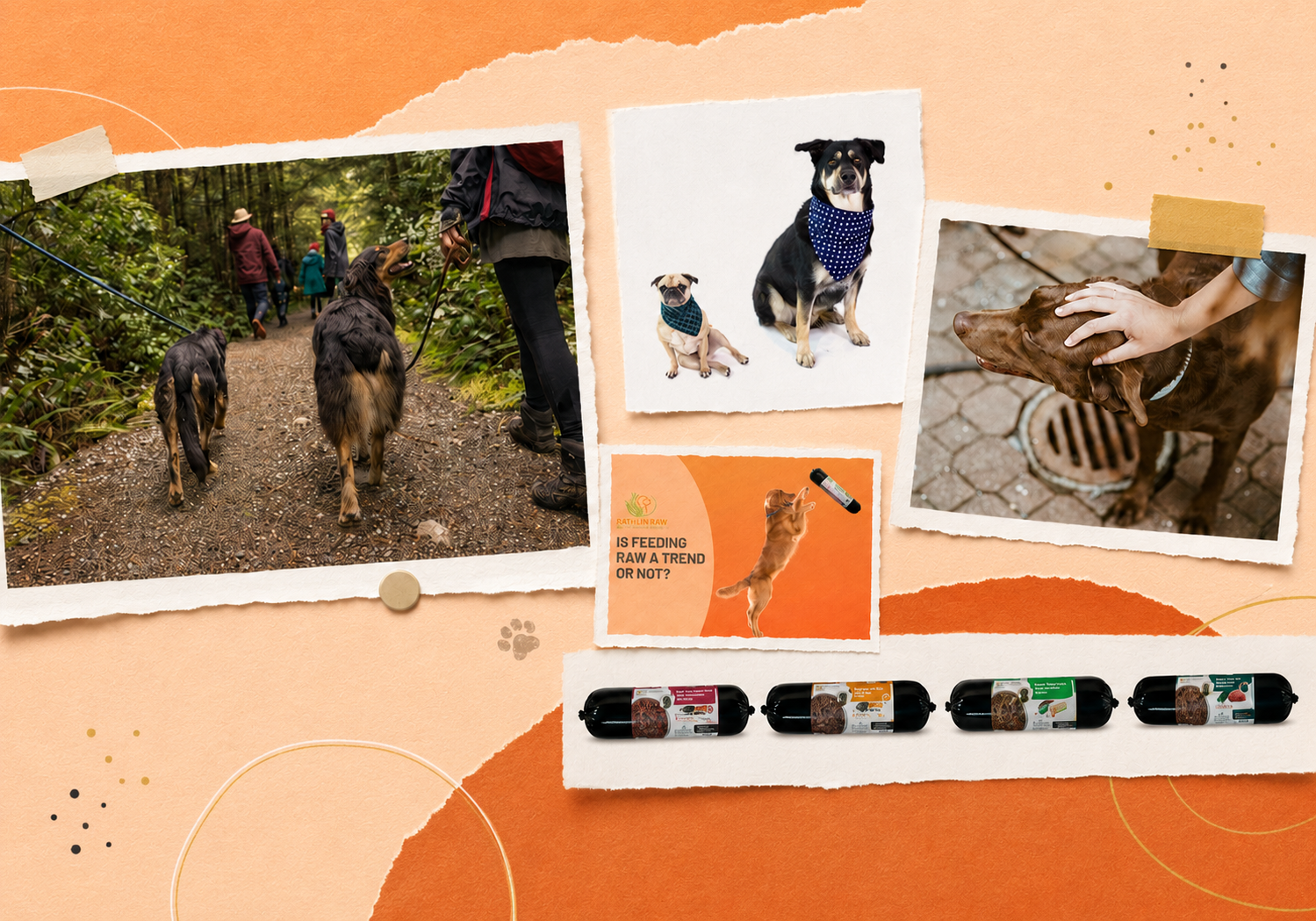 Rathlin Raw branded social media collage featuring dogs on walks, pet photography, a raw feeding awareness graphic and packaged raw dog food products.